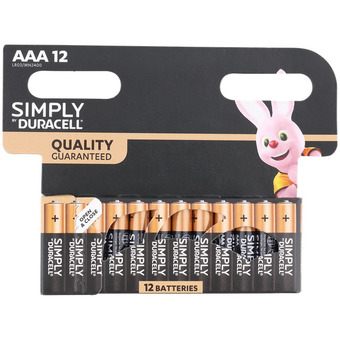 Action Batterie Duracell AAA offerta