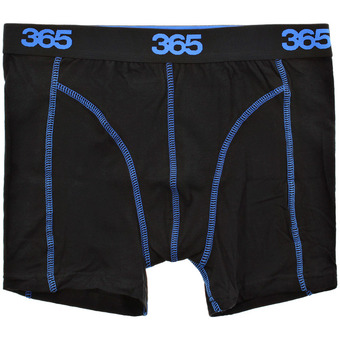 Boxer 365