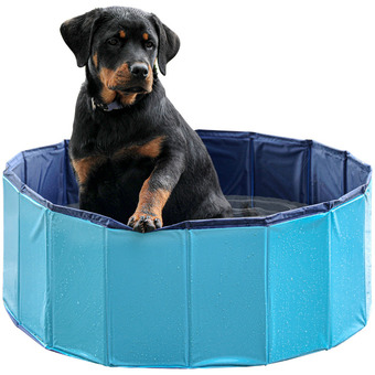 Action Piscina per cani offerta