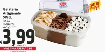 Paghi Poco Sigel Gelateria Artigianale 1,2 kg offerta