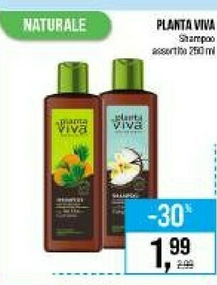 Caddy's Shampoo offerta