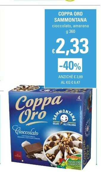 Basko Sammontana Gelato offerta
