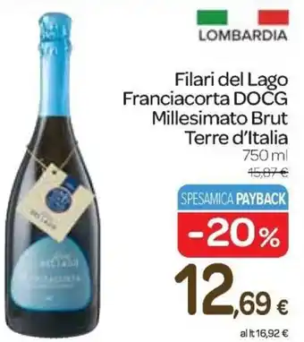 Carrefour Express Filari del Lago Franciacorta DOCG Millesimato Brut Terre d'Italia 750 ml offerta