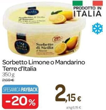 Carrefour Express Sorbetto Limone o Mandarino Terre d'Italia 350 g offerta