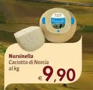 Nursinella Caciotta Di Norcia