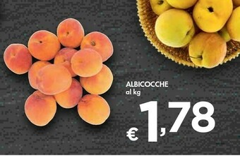 Bennet Albicocche offerta