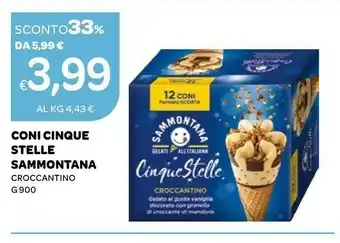 Ekom Sammontana Gelato offerta