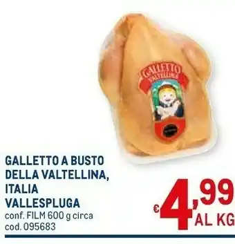 Metro Galletto Carne offerta
