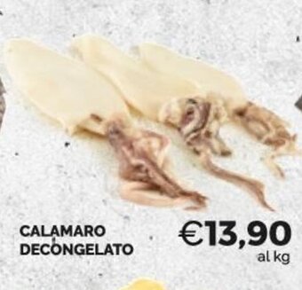 Mercatò Extra Calamaro Decongelato offerta