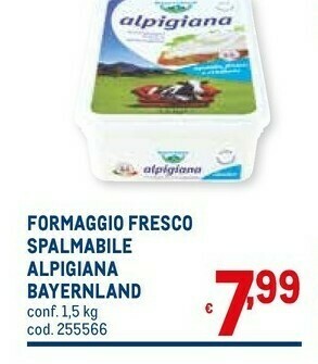 Metro Bayernland Formaggio spalmabile offerta