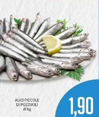 Alici Piccole Di Pozzuoli