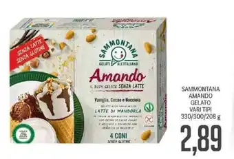 Supermercati Piccolo Sammontana Amando Gelato vari tipi 330/300/208 g offerta