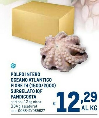Metro Polpo offerta