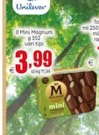 Elite 8 Mini Magnum 352 g vari tipi offerta