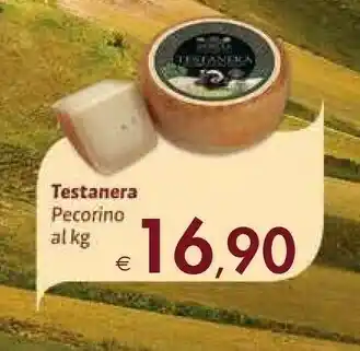 Bennet Testanera Pecorino offerta