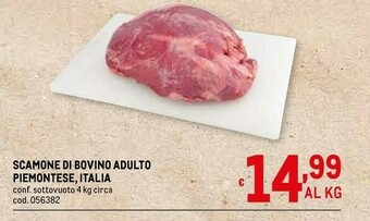 Metro Carne offerta