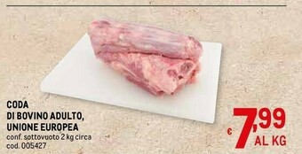Metro Carne offerta