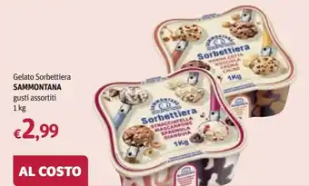Sammontana Gelato Sorbettiera gusti assortiti 1 kg