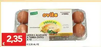 Ovito Ovito 10 Uova Allevate A Terra