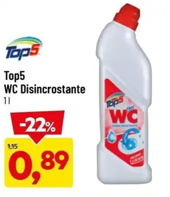 DPiù Top5 WC Disincrostante 1l offerta