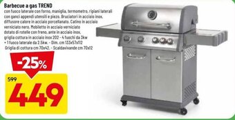 DPiù Barbecue a gas TREND offerta