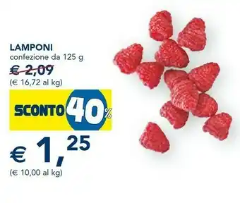 Esselunga Lamponi offerta