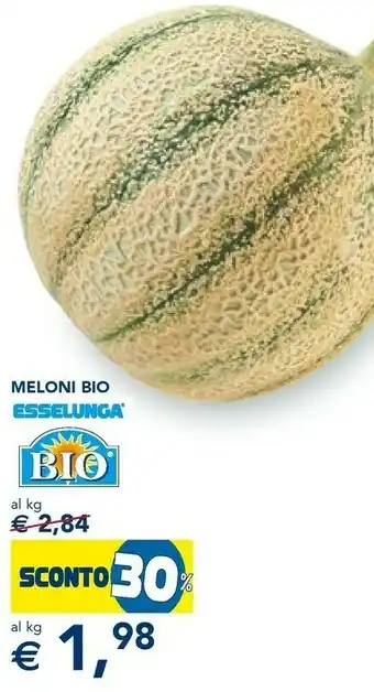 Esselunga Meloni offerta