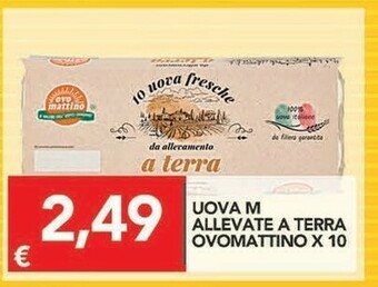Ovo mattino Ovo Mattino - 10 Uova Fresche Medie