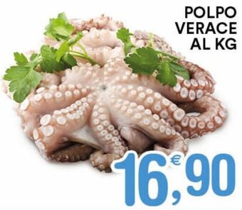 Gecop Polpo Verace al kg offerta
