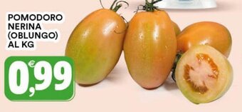 Gecop Pomodoro Nerina (Oblungo) al kg offerta