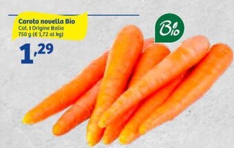In'S Mercato Carota novella Bio 750 g offerta