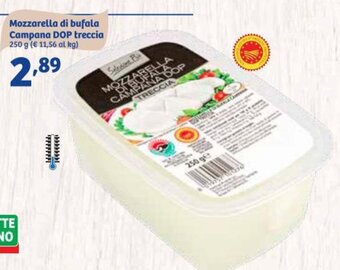 In'S Mercato Mozzarella di bufala Campana DOP treccia 250 g offerta