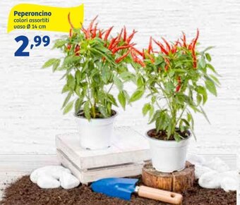 In'S Mercato Peperoncino offerta