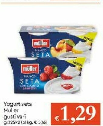 Galassia Muller Yogurt offerta