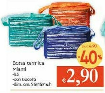 Galassia Borsa Termica offerta