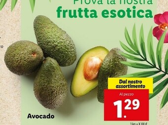 Lidl Avocado offerta