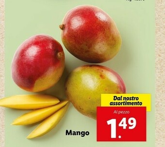 Lidl Mango offerta