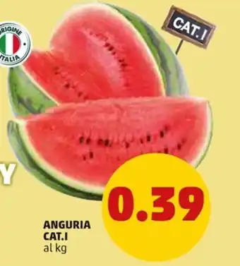PENNY Anguria Cat. I offerta