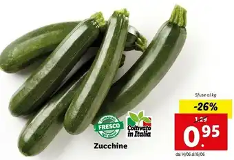 Lidl Omo Zucchine offerta