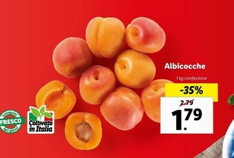 Lidl Albicocche offerta