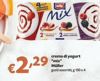 Pam Muller Mix Fragole E More E Lamponi 600 G(ml) offerta
