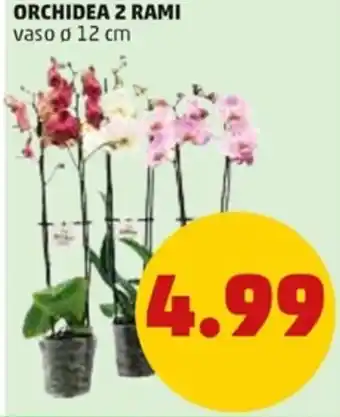 PENNY Orchidea 2 rami vaso ø 12 cm offerta