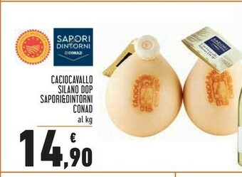 Conad Sapori Formaggio offerta