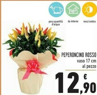 Conad Piante offerta