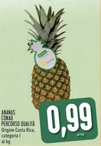 Conad Costa Ananas offerta