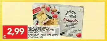 TuoDi Sammontana Amando Biscotto Gelato Con Frutti Di Bosco 208 G(ml) offerta