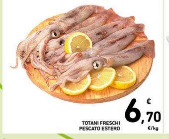 Spazio Conad Totani freschi pescato estero offerta