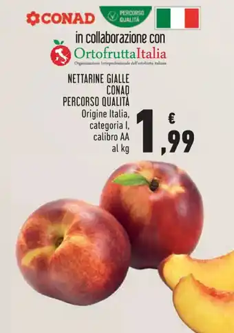 Conad Conad Nettarine Gialle Percorso Qualità offerta