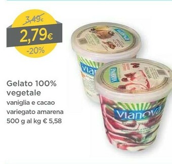 DPiù Vianova Gelato 100% Vegetale offerta