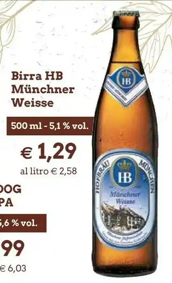 Galassia HB Birra Munchner Weisse offerta